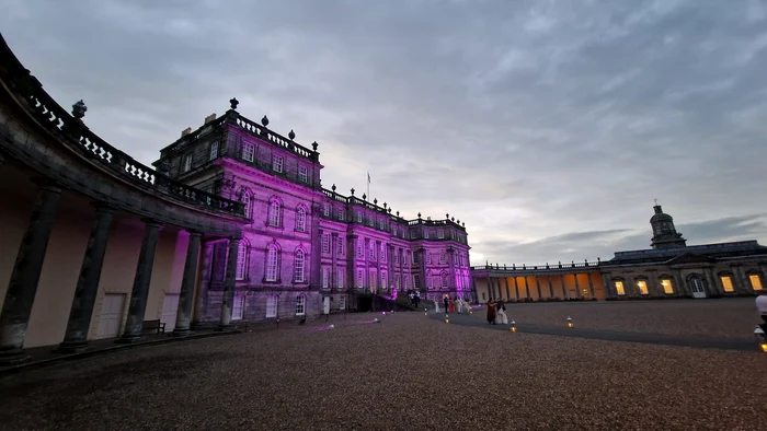 A cântat  la nunta dintre  o bucovineancă  şi un indian, iar  petrecerea a avut  loc într-un palat