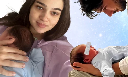 banner theo rose png