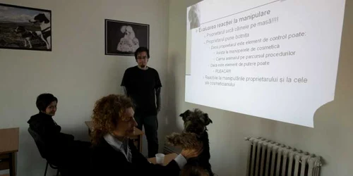 Cursurile au început deja la Cluj