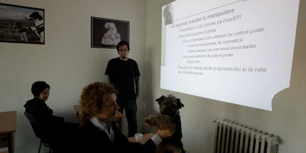 Cursurile au început deja la Cluj