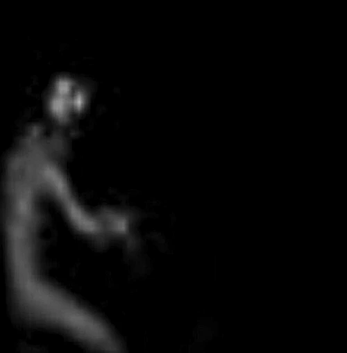 Aceasta este fotografia făcută de Douglas: o siluetă se distinge în întuneric