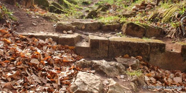 cetatea piatra rosie foto daniel guta adevarul