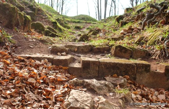 Ruine dacice. FOTO: Daniel Guţă. ADEVĂRUL.