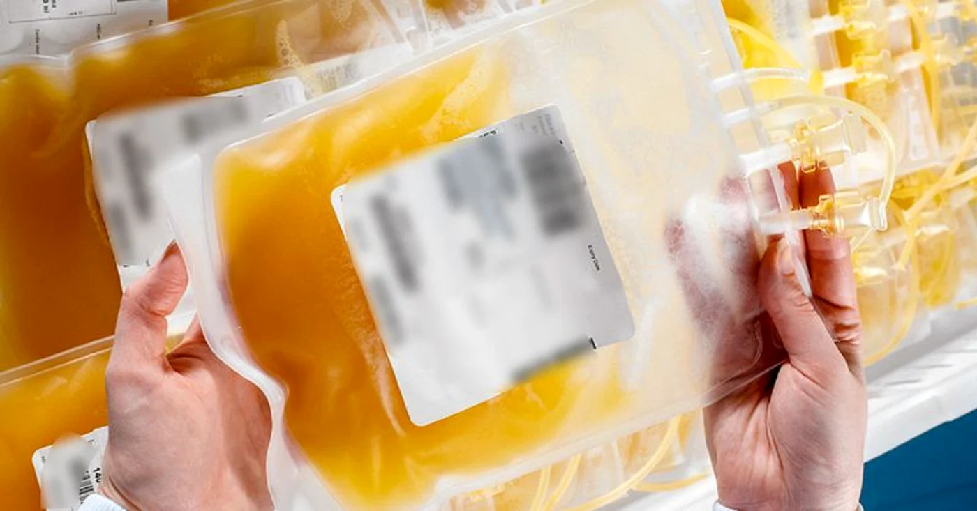
    Plasma a fost colectată de la pacienţii vindecaţifoto: captura gulfnews.com  