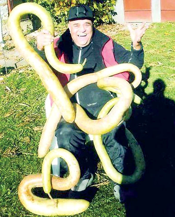 Benone se laudă cu  ”dovleceii -șarpe” 