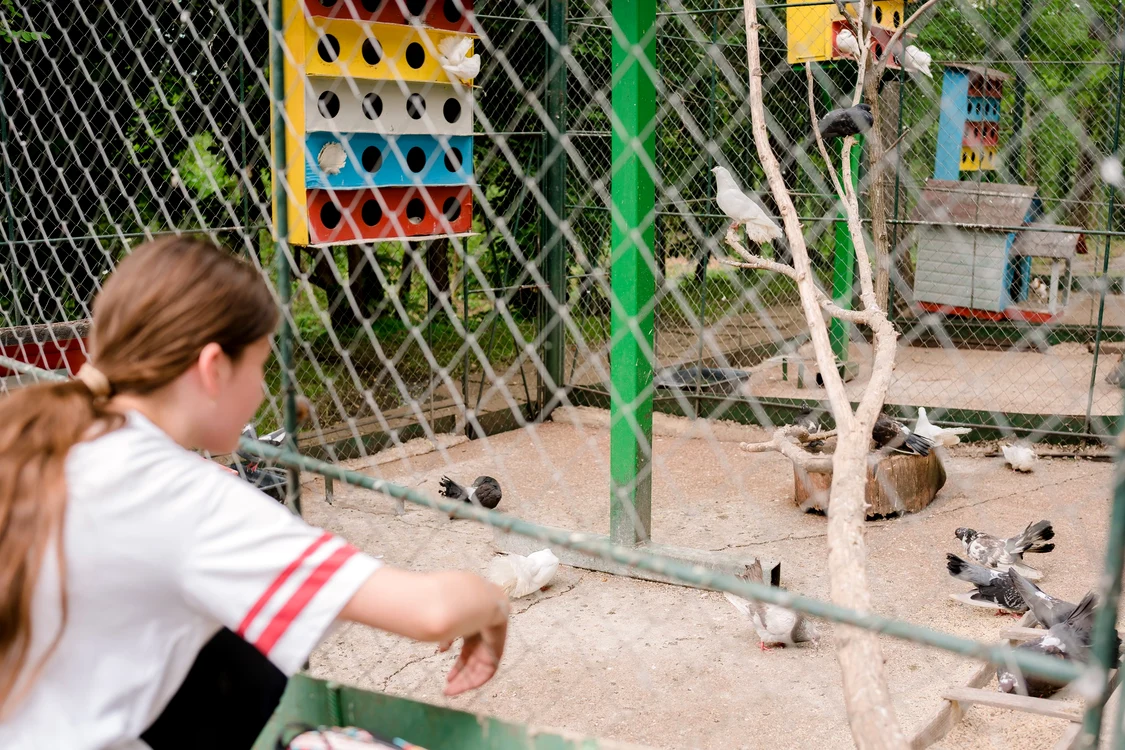 Copiii vor vizita și Parcul ZOO FOTO: CJ Galați
