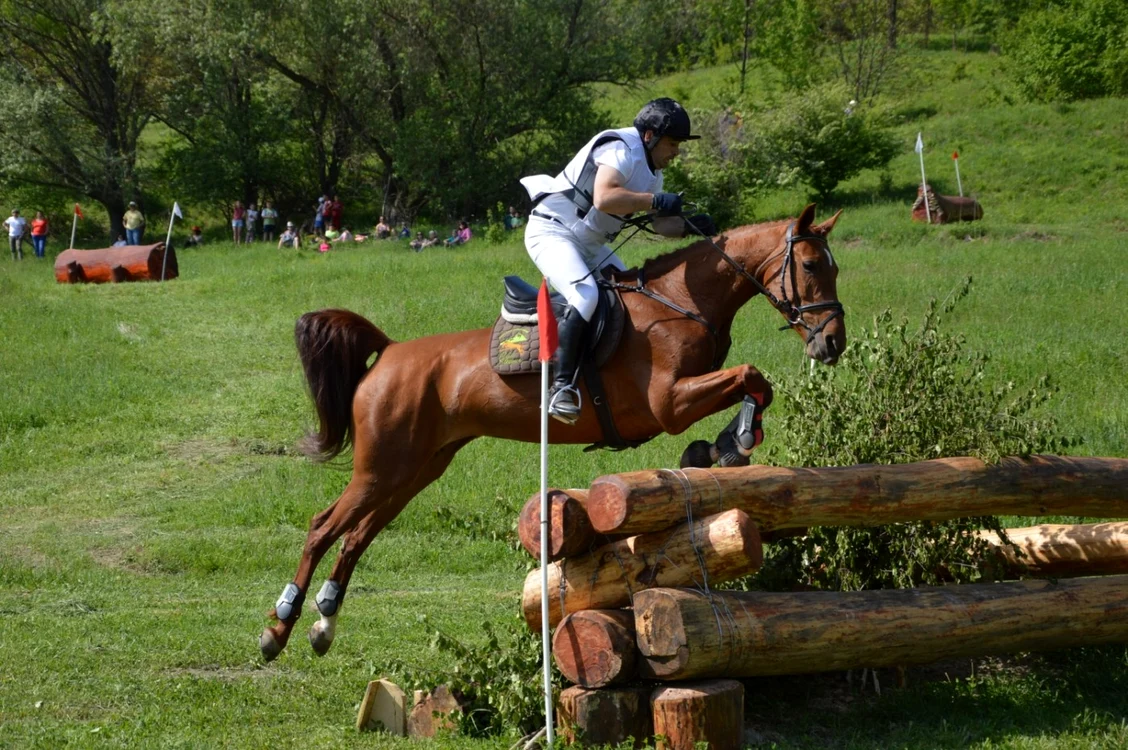 trans hors show