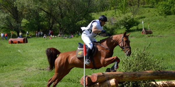 trans hors show