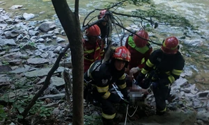 interventie pompieri cazut in prapastie   foto isu hunedoara jpg