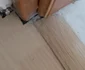 Imagini de la controlul din Azilul Casanova din Râmnicu Vâlcea Sursă Adevărul jpeg