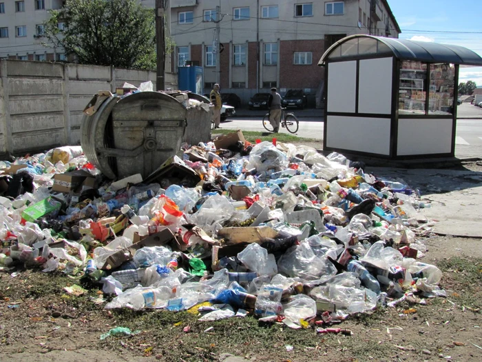 Deşeurile menajere au ajuns până pe trotuar