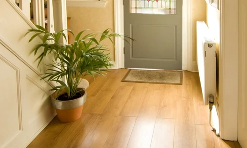 1 56192 original jpg jpeg