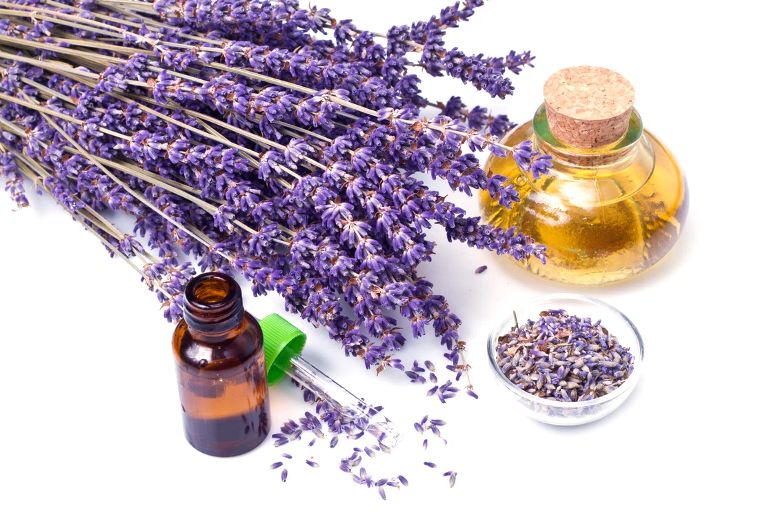 1 ulei de lavanda remedii jpg jpeg