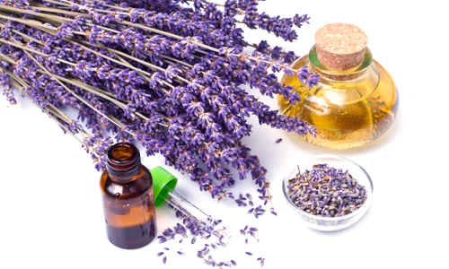 1 ulei de lavanda remedii jpg jpeg