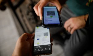 certificat verde png