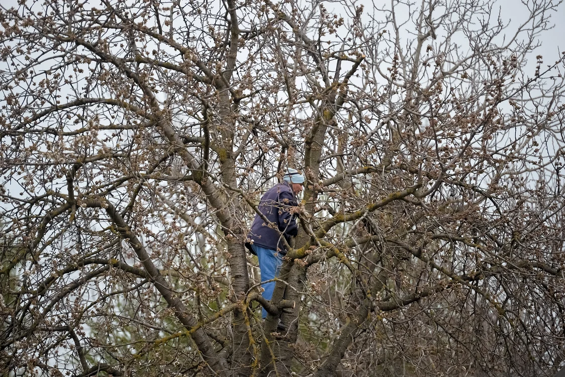 Un bărbat privește de la înălțime întreaga desfășurare de forțe