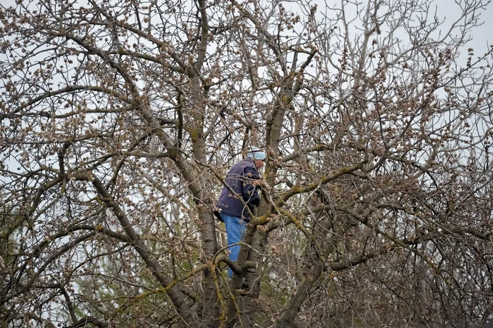 Un bărbat privește de la înălțime întreaga desfășurare de forțe