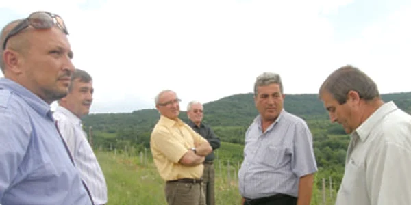 Se caută un prefect