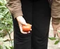 rosiile produse la patulele FOTO Alexandra Georgescu