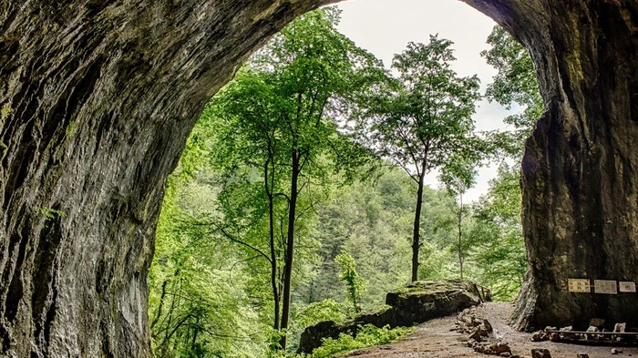 Peștera Meziad Foto: Facebook 