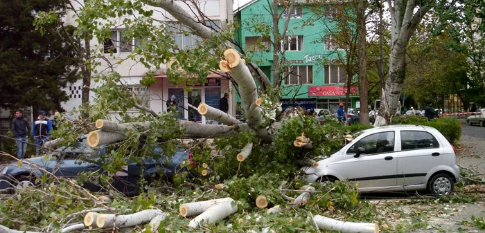 Maşinile erau parcate regulamentar FOTO: Mădălin Sofronie