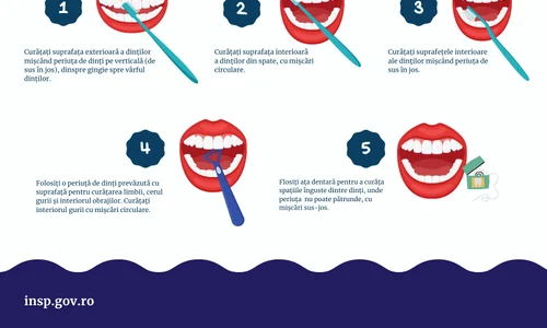 433571682 390862130372524 4660790757761838570 n jpg