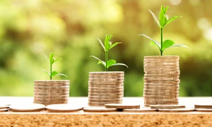 money 2696219 1920 jpeg