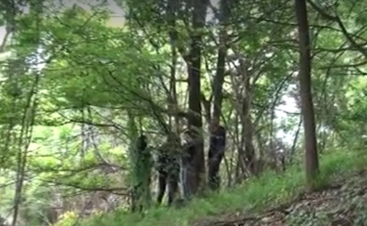 Foto: arhivă Adevărul