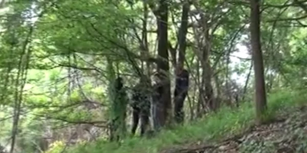 Locul în care o copilă de 15 ani - Denisa Unchiaşu din Oteşani - Vâlcea a fost găsită spânzurată Foto captură video
