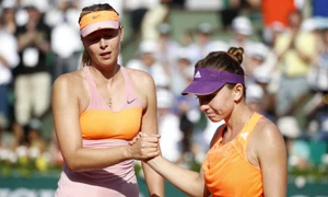 halep sarapova jpeg