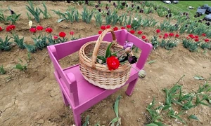 ffb73bb9 c2a8 4974 b314 ef42f9f0c5be jpg