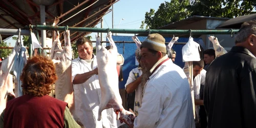 târgul de miei din turnu severin FOTO Corina Macavei 