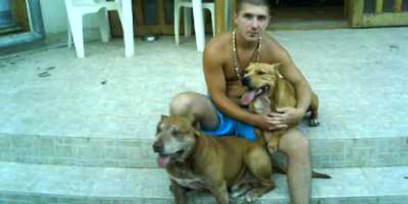 Craiova: Pitbullul lui Covei jr. a atacat o tânără şi căţelul acesteia