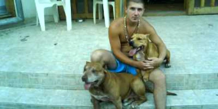 Craiova: Pitbullul lui Covei jr. a atacat o tânără şi căţelul acesteia