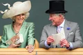 printul charles si camilla parker bowles gettyimages 495794140 6 jpeg