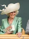 printul charles si camilla parker bowles gettyimages 495794140 6 jpeg
