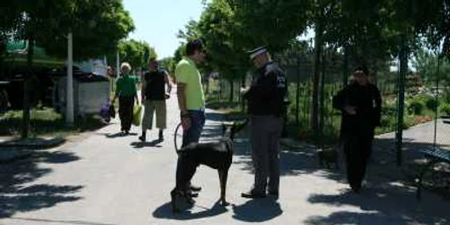 Mai puţini gălăţeni, mai puţini poliţişti locali în patrulare pe străzi şi în spaţii publice