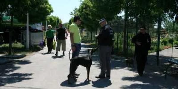 Mai puţini gălăţeni, mai puţini poliţişti locali în patrulare pe străzi şi în spaţii publice