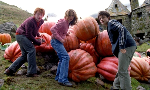 6 profimedia 0295002949 jpg jpeg