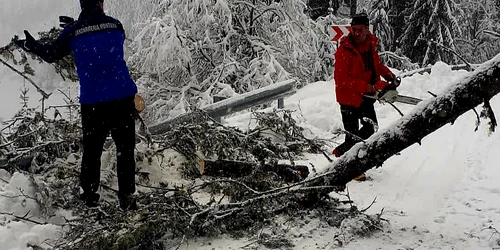 Drumul a fost blocat în zona Cheile Tătarului. FOTO IJJ Dâmbovița