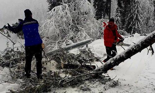 Drumul a fost blocat în zona Cheile Tătarului. FOTO IJJ Dâmbovița