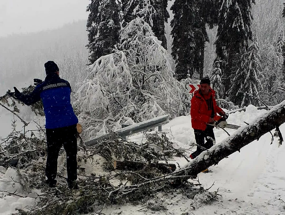Vântul puternic a făcut ravagii în Brașov. Acoperișuri avariate, fire electrice scurtcircuitate și copaci smulși din rădăcini