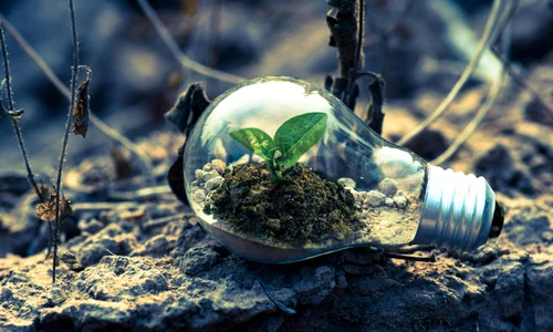 Cum poti trai mai sustenabil Top 3 sfaturi pentru o planeta mai verde jpg