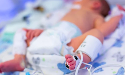 terapie intensiva neonatala   spitalul baneasa 3 jpeg