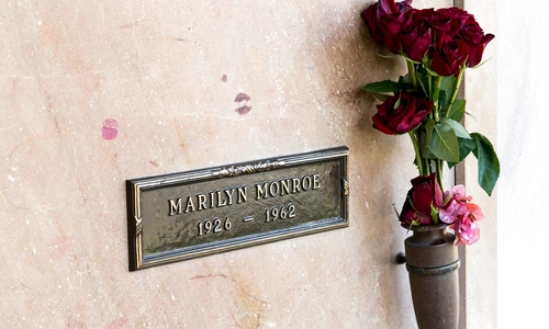 1 shutterstock 749727886 jpg jpeg