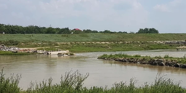 calarasi rau