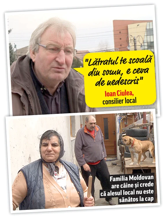 Foto: Tudor Alexandrescu