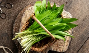 leurda, un aliment foarte sanatos, foto shutterstock jpg