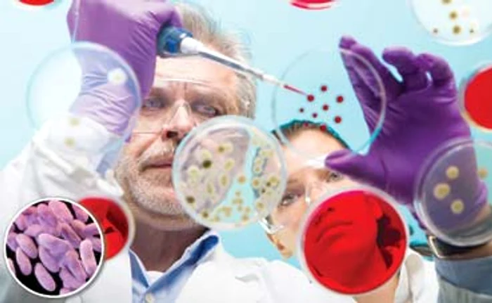 
    Sindromul Respirator Acut Sever (SARS) a izbucnit în 2003 în sudul Chinei  