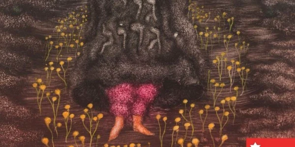 brauer